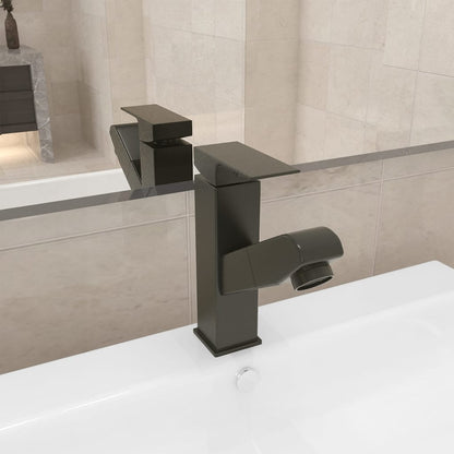 Bathroom Basin Faucet with Pull-out Function - Bend